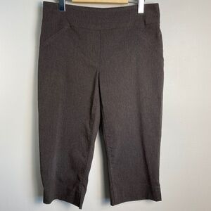 Reitmans Women's Brown Elastic Waist Pull On Capri Dress‎ Pants Size 9
